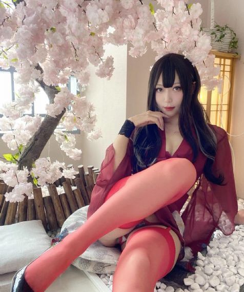 火花视频免费观看电视剧